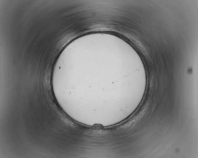 X0000116791273201001151054