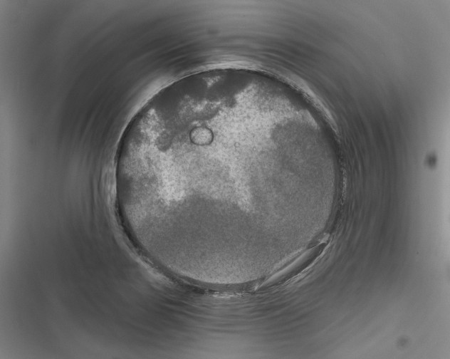 X0000116791274201001151054