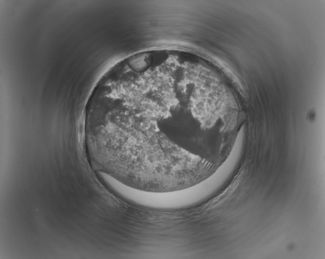 X0000116791275201001151054