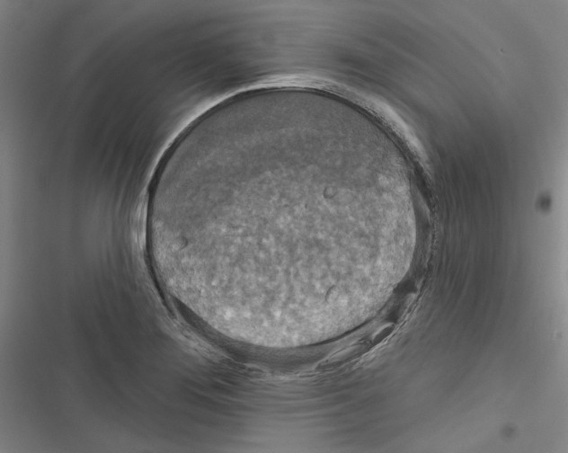 X0000116791276201001151054