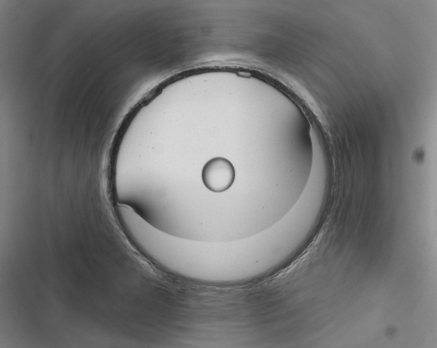 X0000116791277201001151054