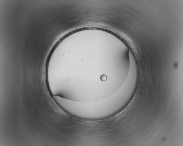 X0000116791280201001151054
