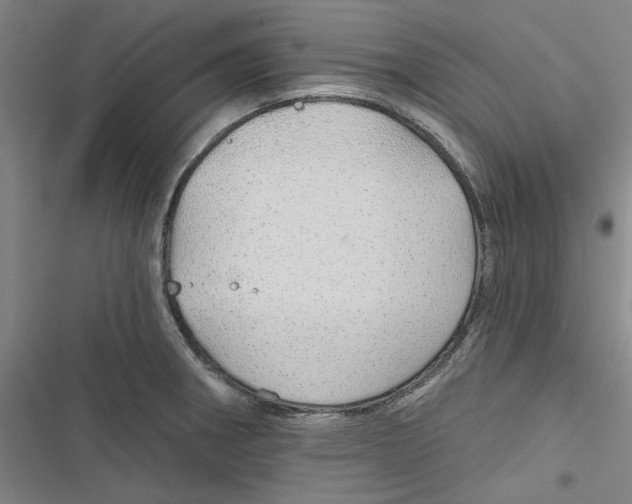 X0000116791282201001151054