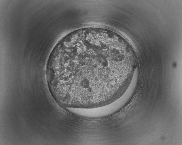 X0000116791283201001151054