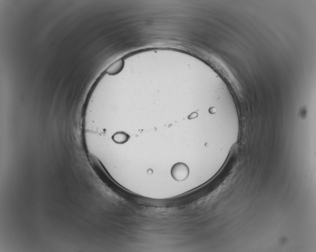 X0000116791284201001151054