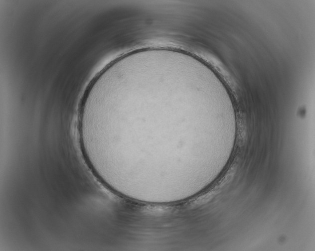 X0000116791286201001151054