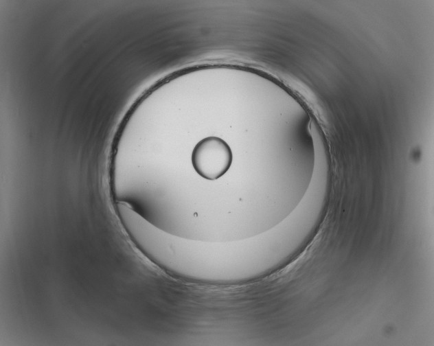 X0000116791288201001151054