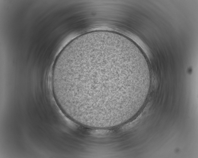 X0000116791290201001151054