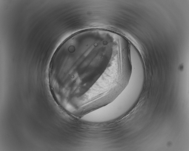 X0000116791291201001151054