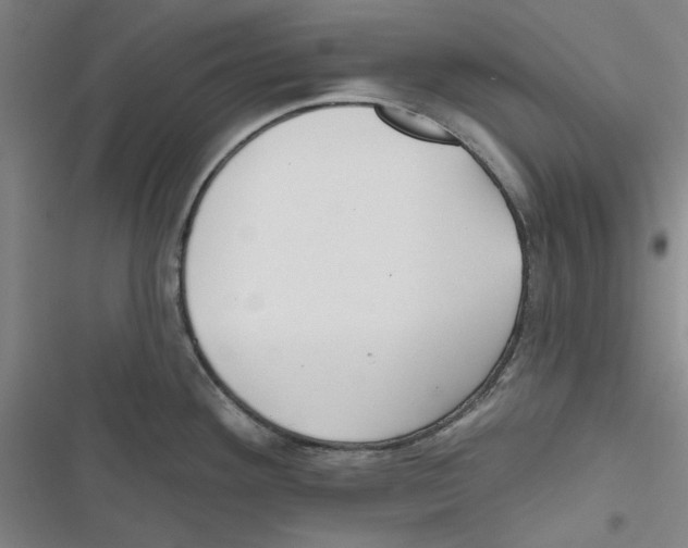 X0000116791292201001151054