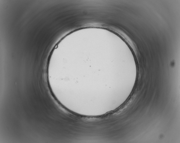 X0000116791293201001151054