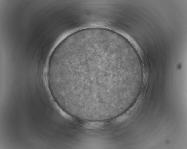 X0000116791294201001151054