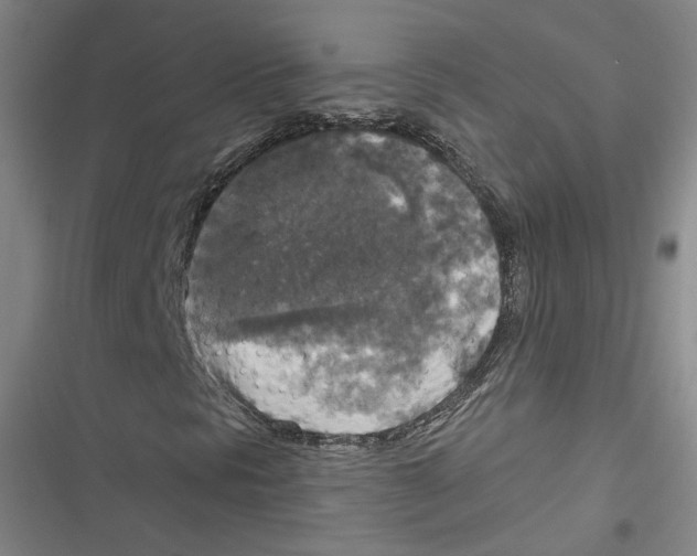 X0000116791297201001151053