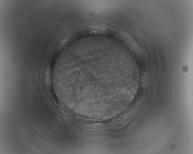 X0000116791298201001151053