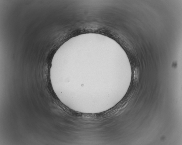 X0000116791299201001151053