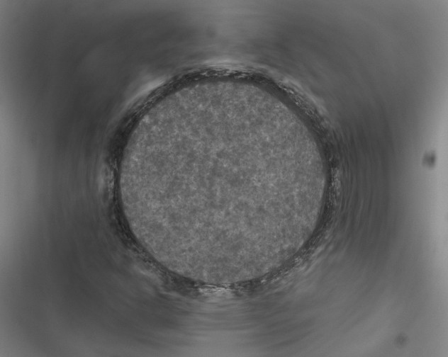 X0000116791302201001151053