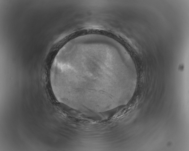 X0000116791303201001151053