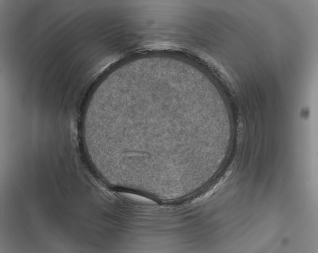 X0000116791305201001151053