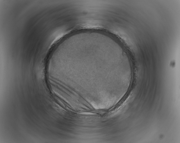 X0000116791306201001151053