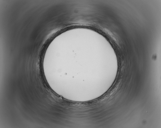 X0000116791307201001151053