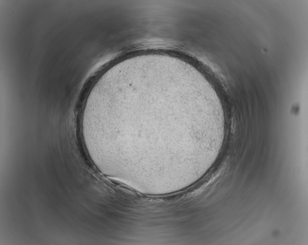 X0000116791309201001151053