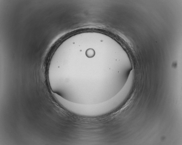 X0000116791310201001151053