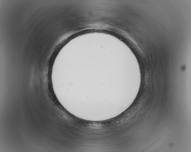 X0000116791315201001151053