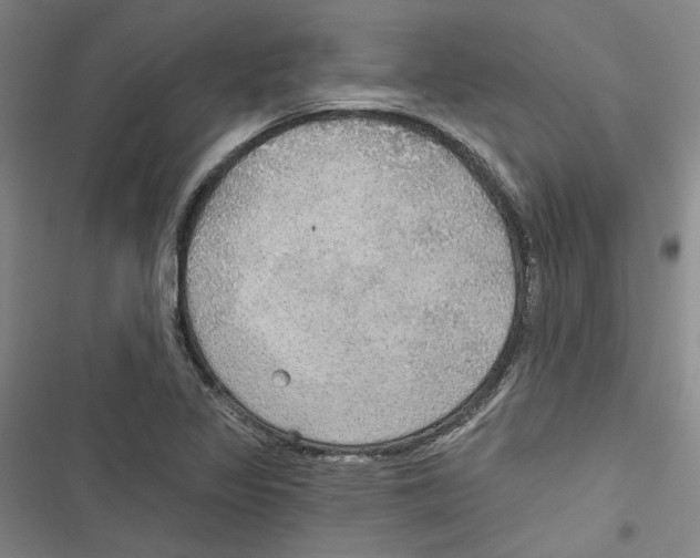 X0000116791317201001151053