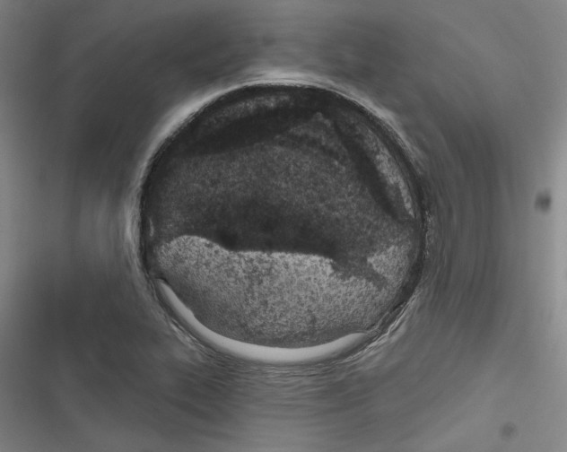 X0000116791319201001151053