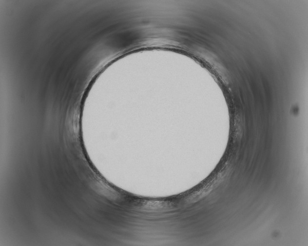 X0000116791322201001151053