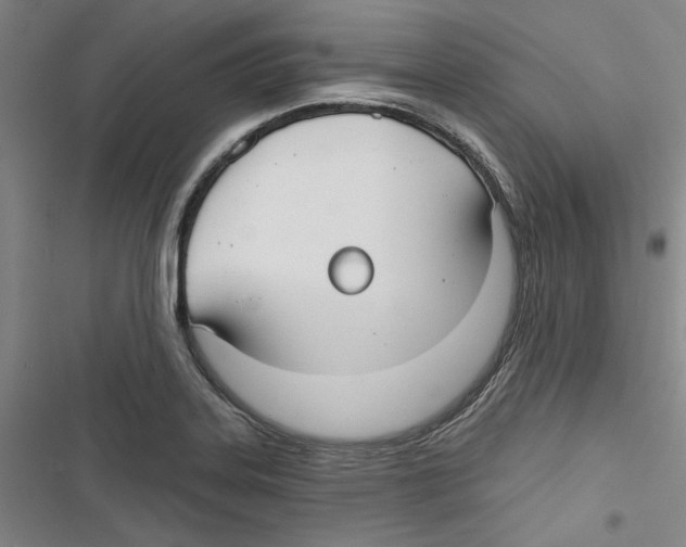 X0000116791323201001151053
