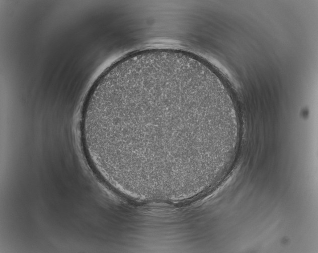 X0000116791325201001151053