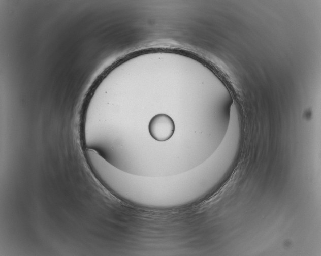 X0000116791326201001151053