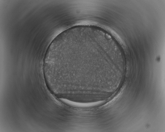 X0000116791329201001151053