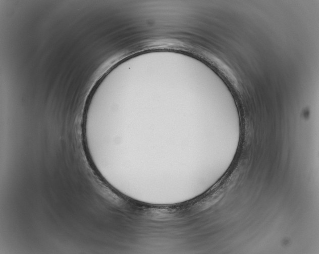 X0000116791330201001151053