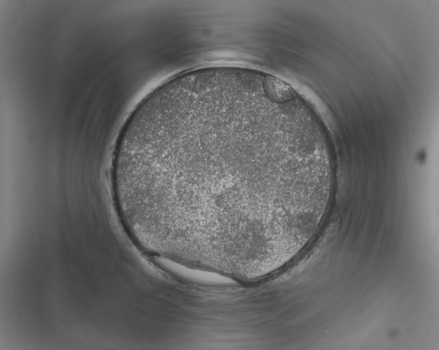 X0000116791333201001151053