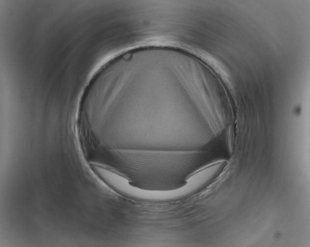 X0000116791334201001151053