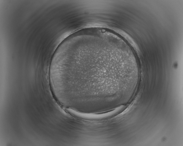 X0000116791337201001151053