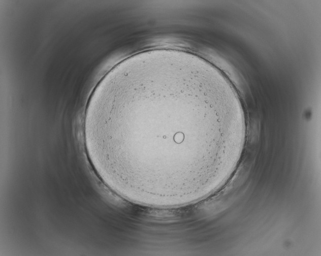 X0000116791338201001151053