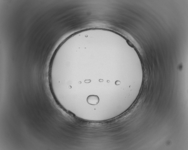 X0000116791339201001151053