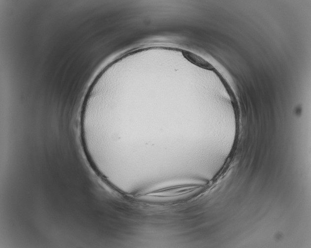 X0000116791341201001151054
