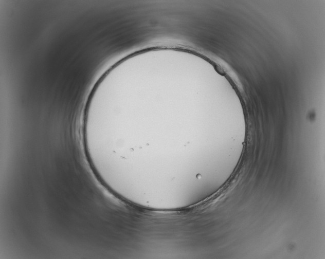 X0000116791343201001151054