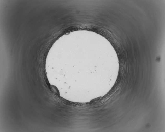 X0000116791345201001151053