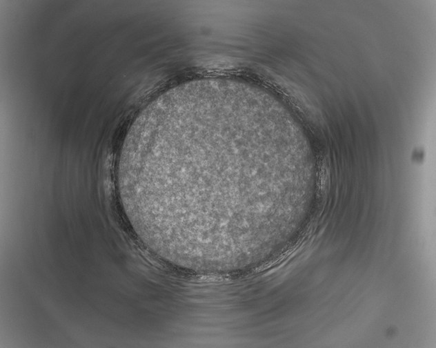 X0000116791346201001151053
