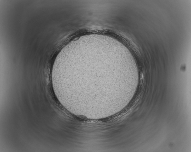 X0000116791348201001151053