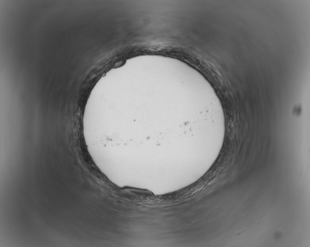 X0000116791349201001151053
