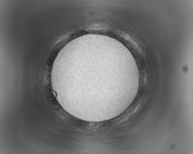 X0000116791350201001151053