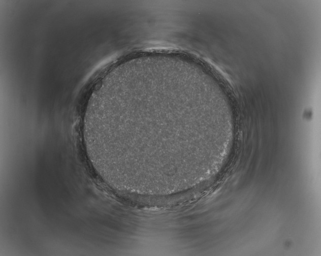 X0000116791351201001151053