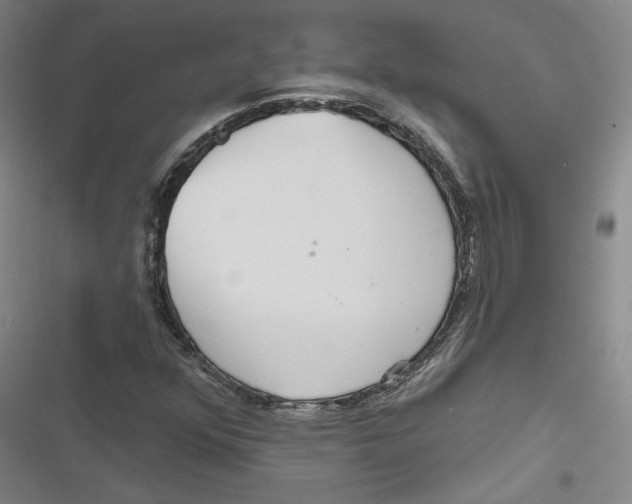 X0000116791352201001151053