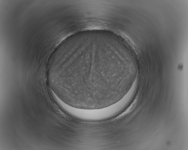 X0000116791353201001151053